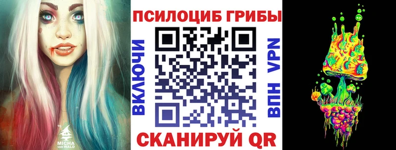 где купить   Иноземцево  Галлюциногенные грибы Magic Shrooms 